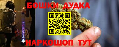 МДПВ Новозыбков