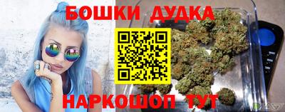 МДПВ Новозыбков